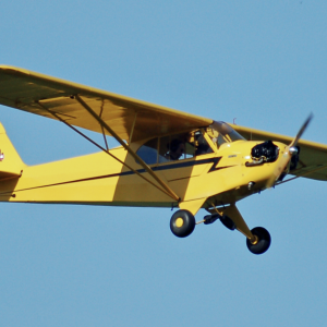 FT-mini Piper cub